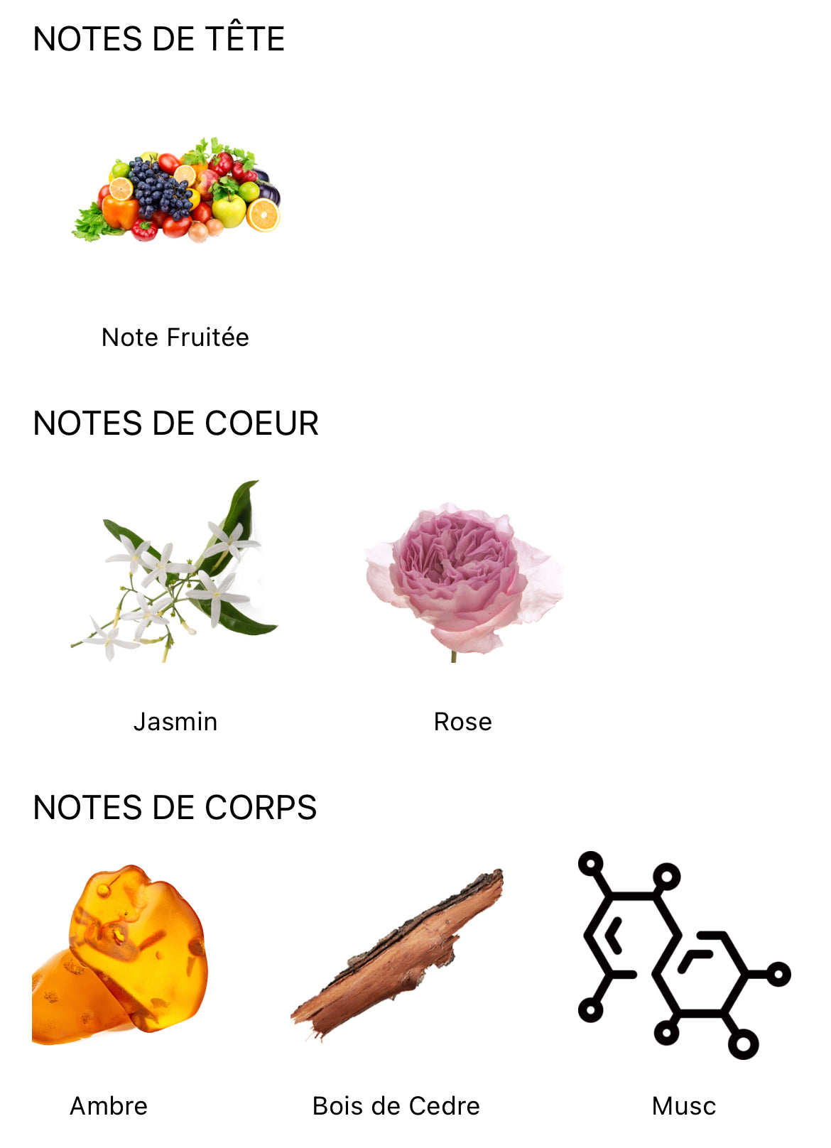 Notes parfum AJWAD