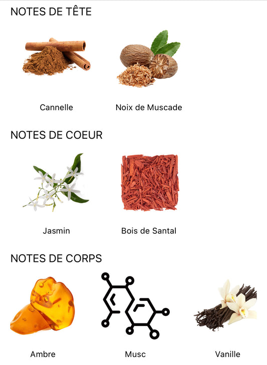 Oud Sharqia - Le Oud